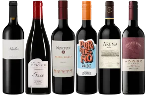 Marvellous Malbec - 6 Bottle Mixed Case