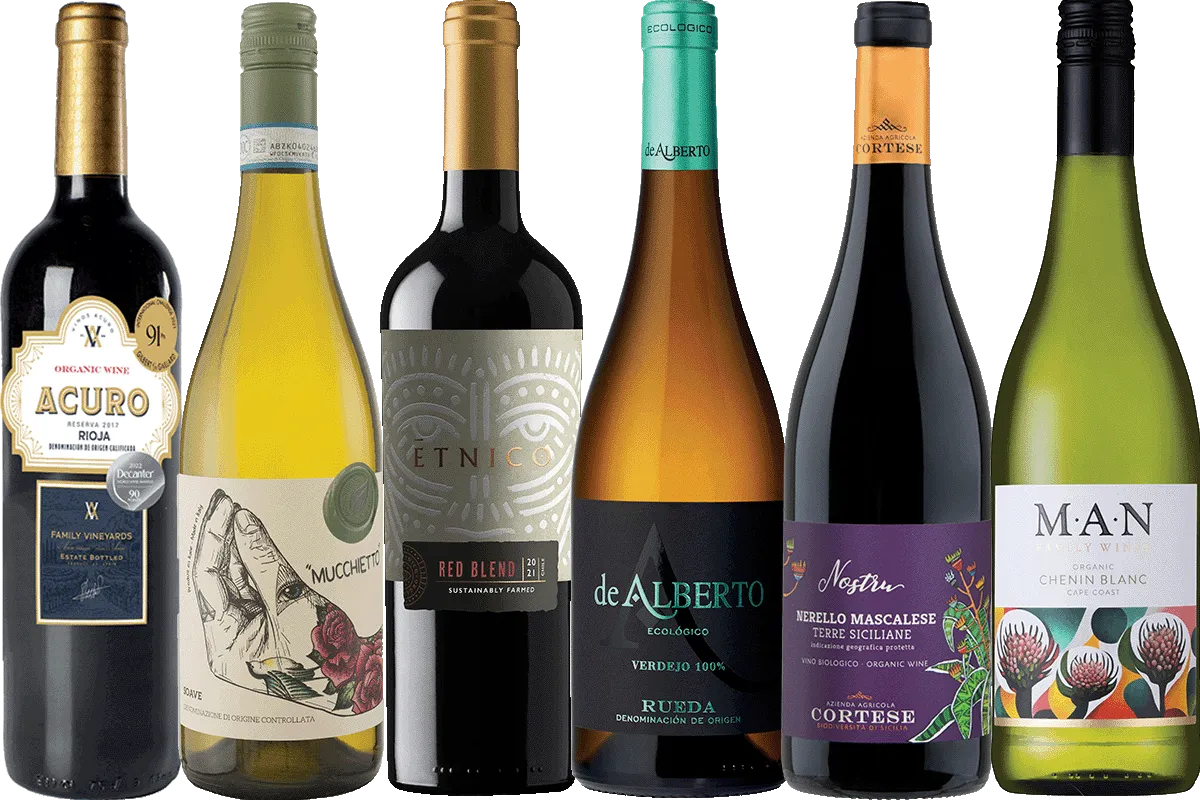 Organic Wine Discovery - 6 Bottle Mixed Case