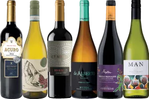 Organic Wine Discovery - 6 Bottle Mixed Case
